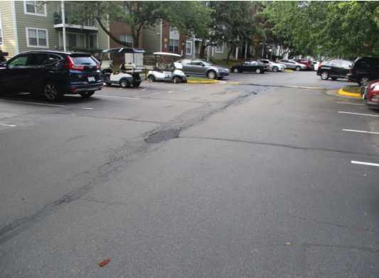 Mosaic - Henley (2).PNG