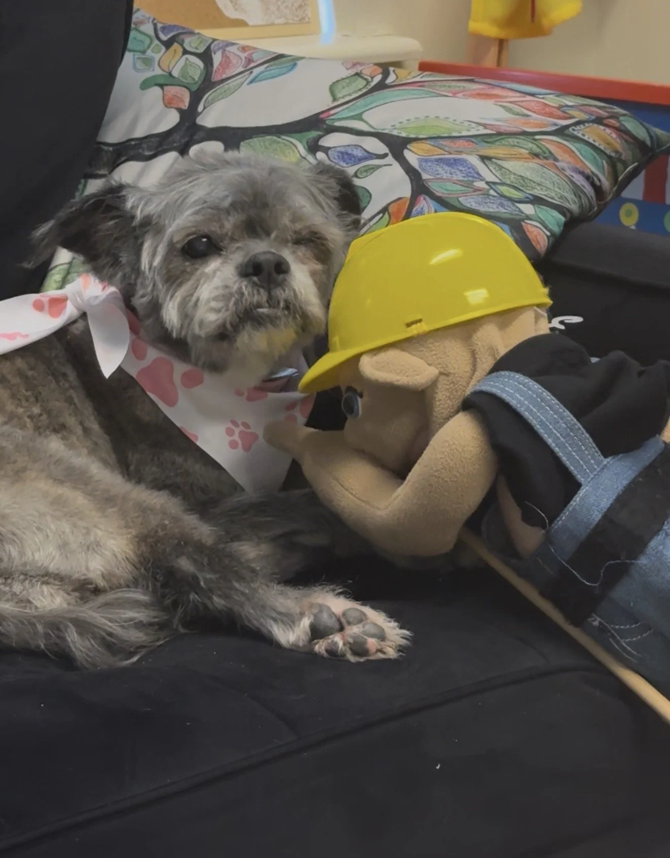 When you signed up to be a Counsel-fur... but didn't read the job description!