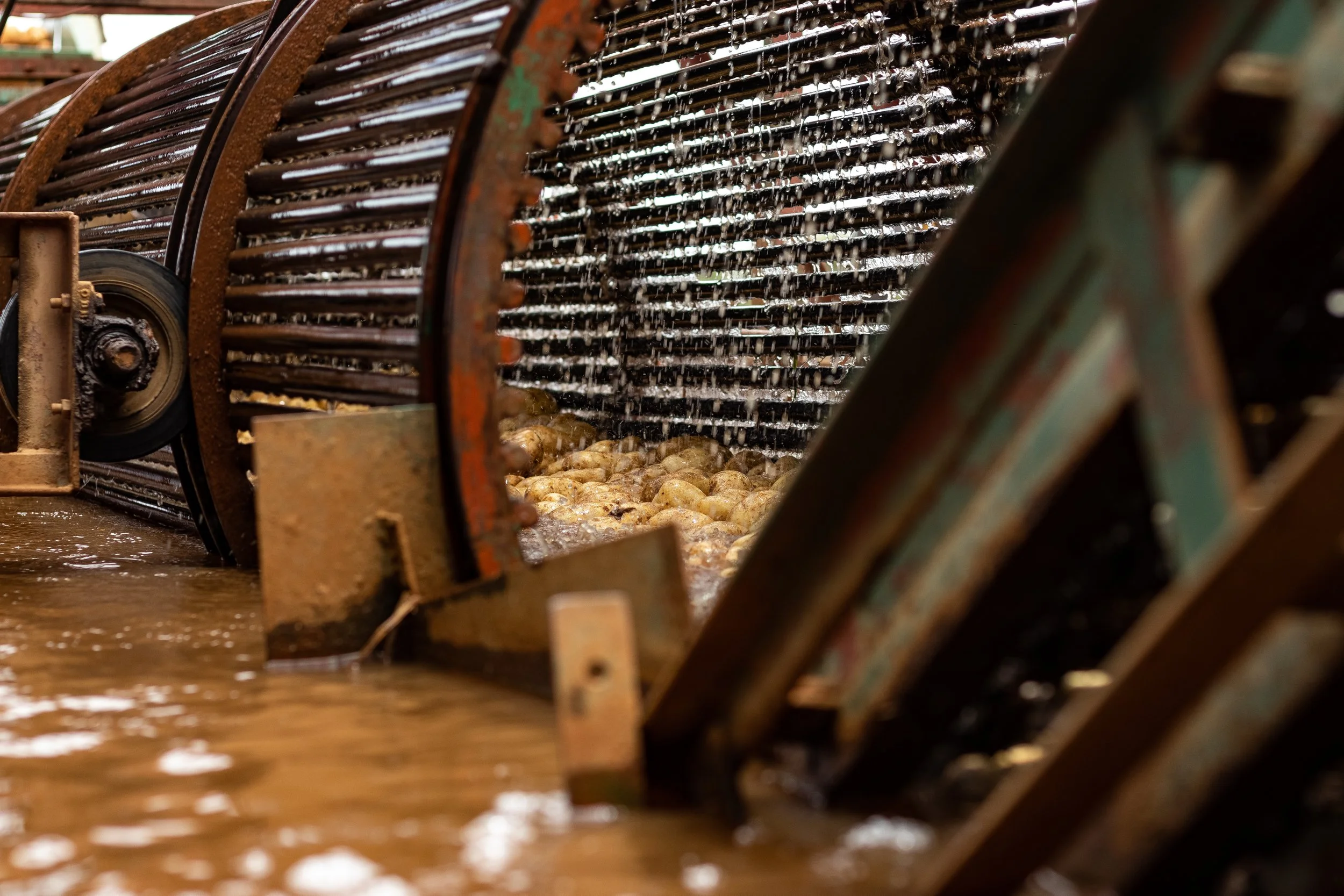 JB - Aartapels-067.jpg