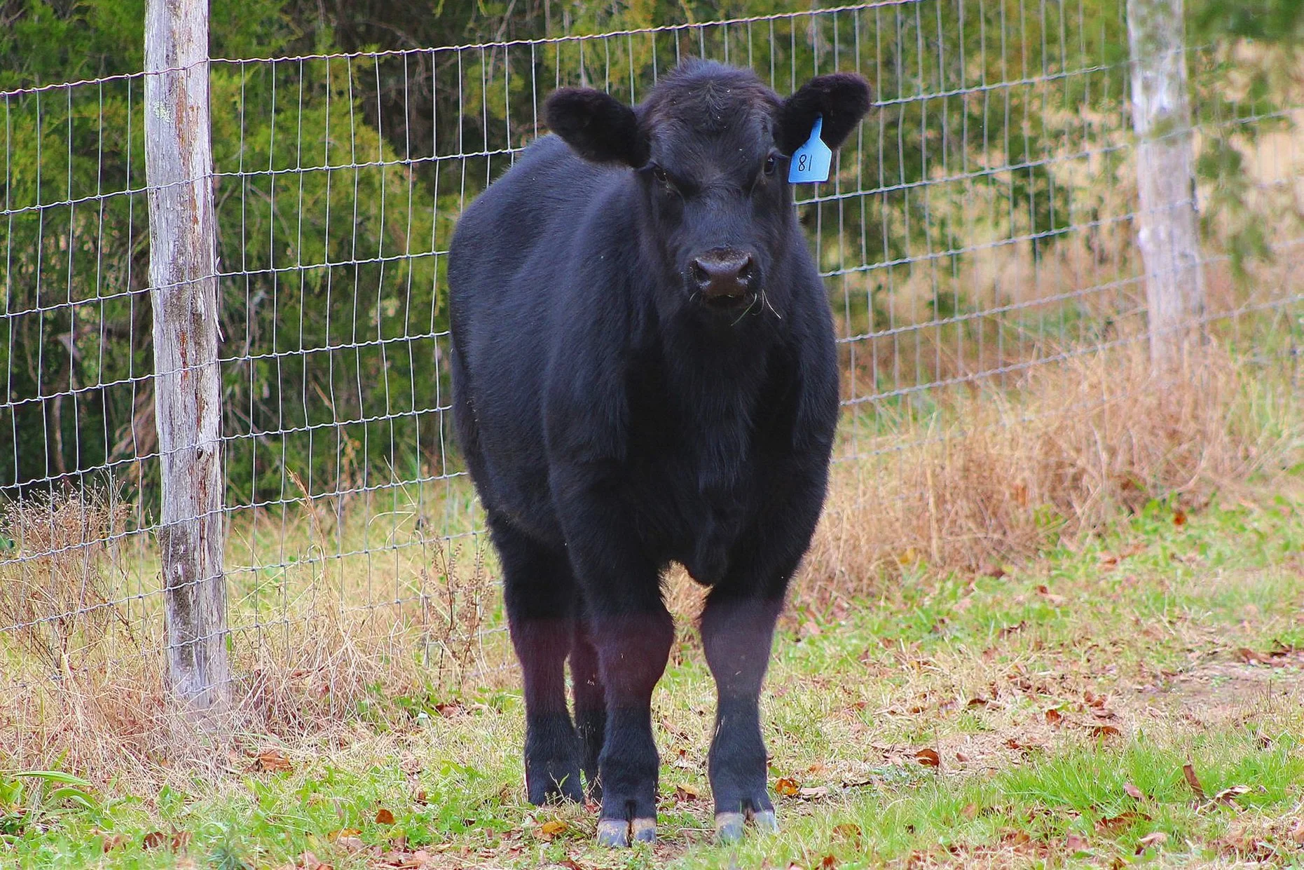 About Family Owned & Operated — T Bar J Ranch