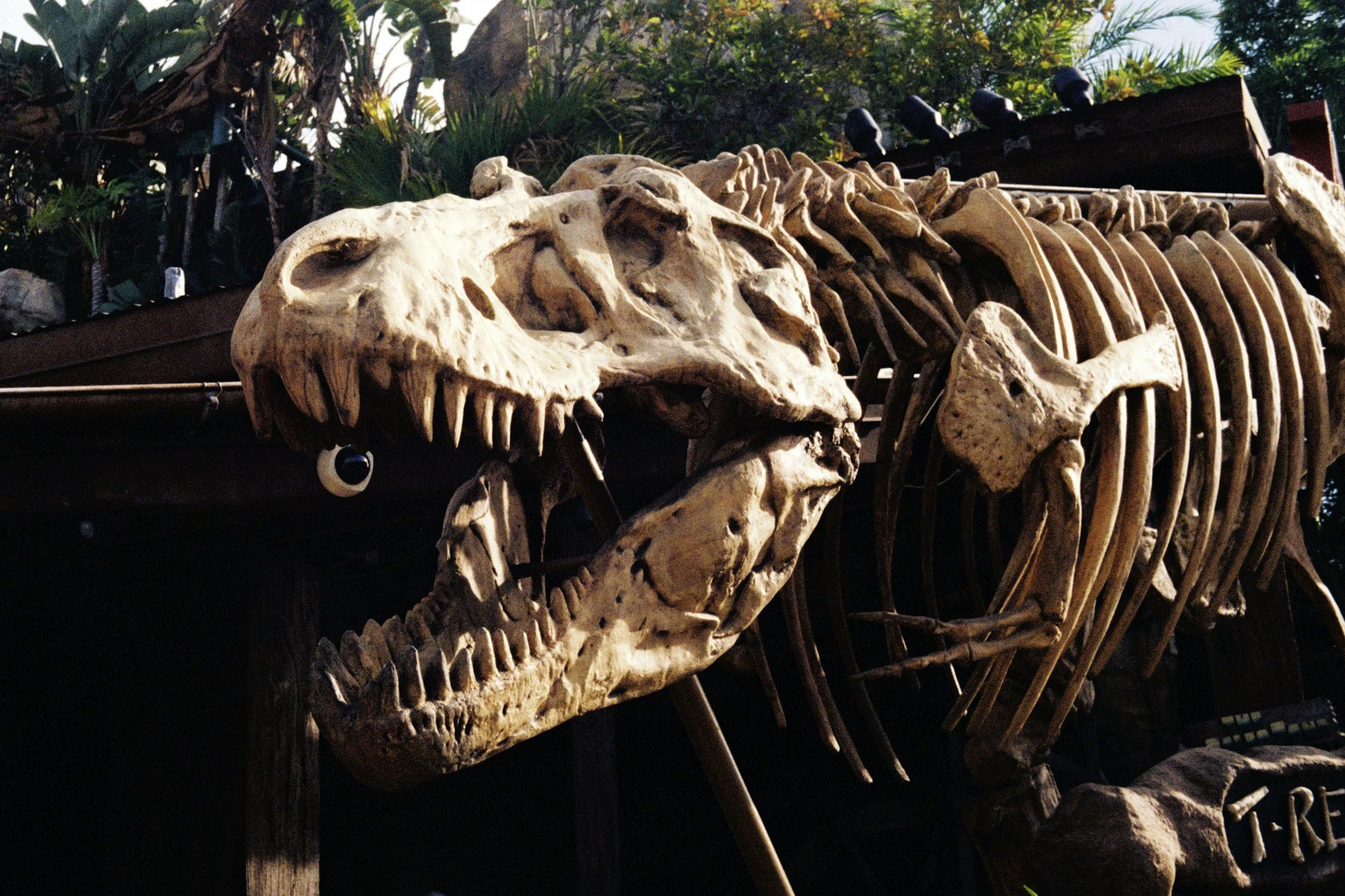2 Year Anniversary for the Natural History Museum