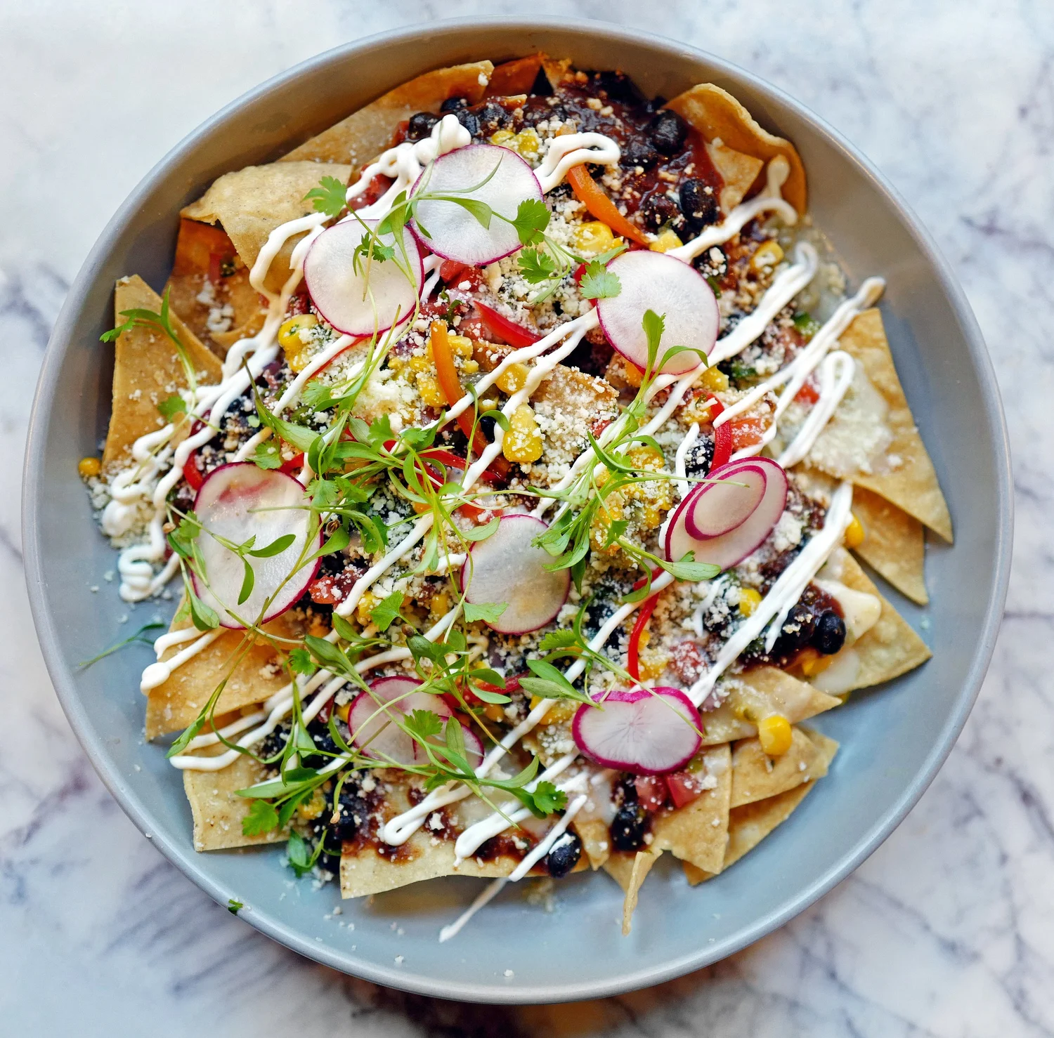 Maize | Cocina & Cocktails