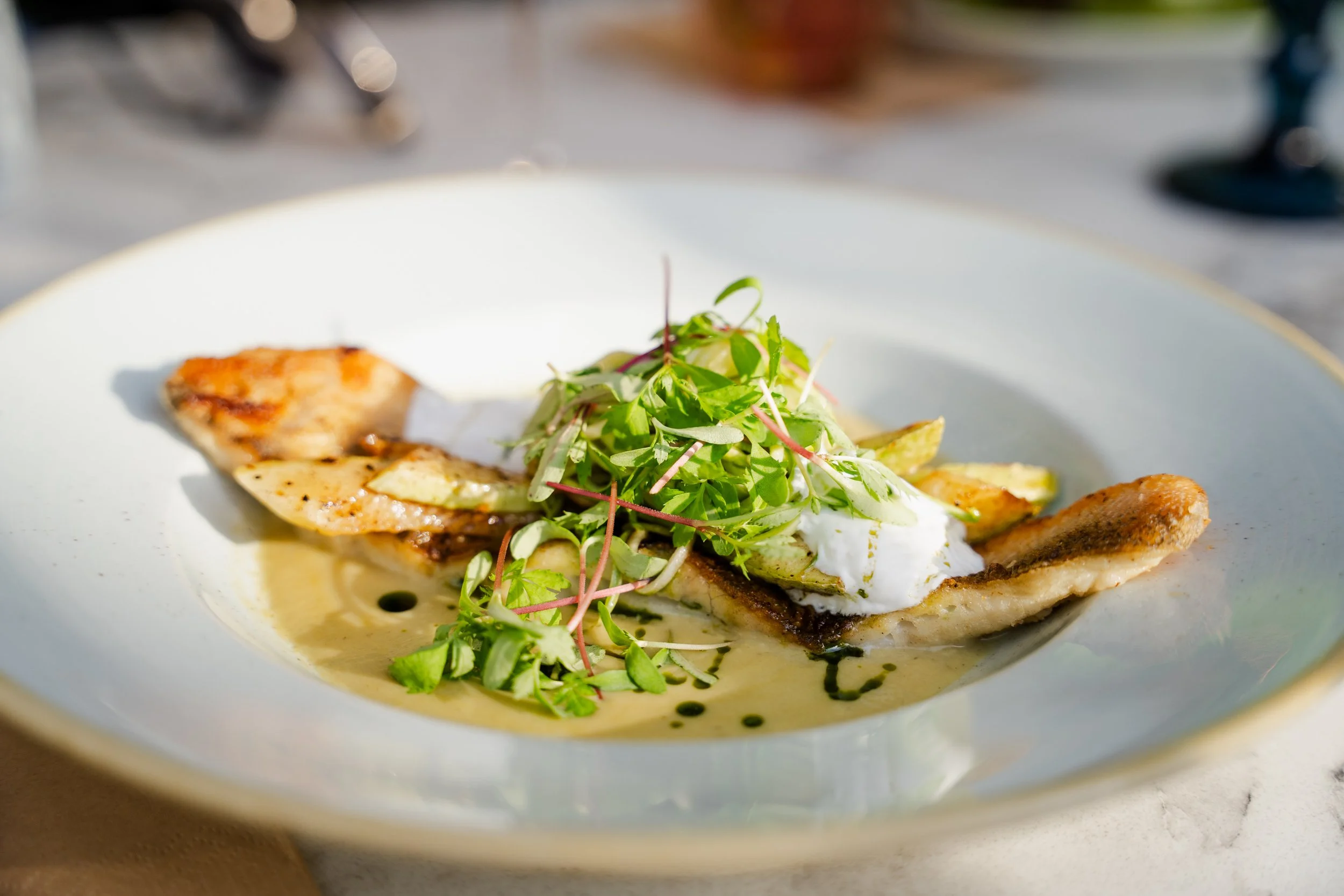 Grilled pike perch with vegetable marrow variation, lime sour cream foam