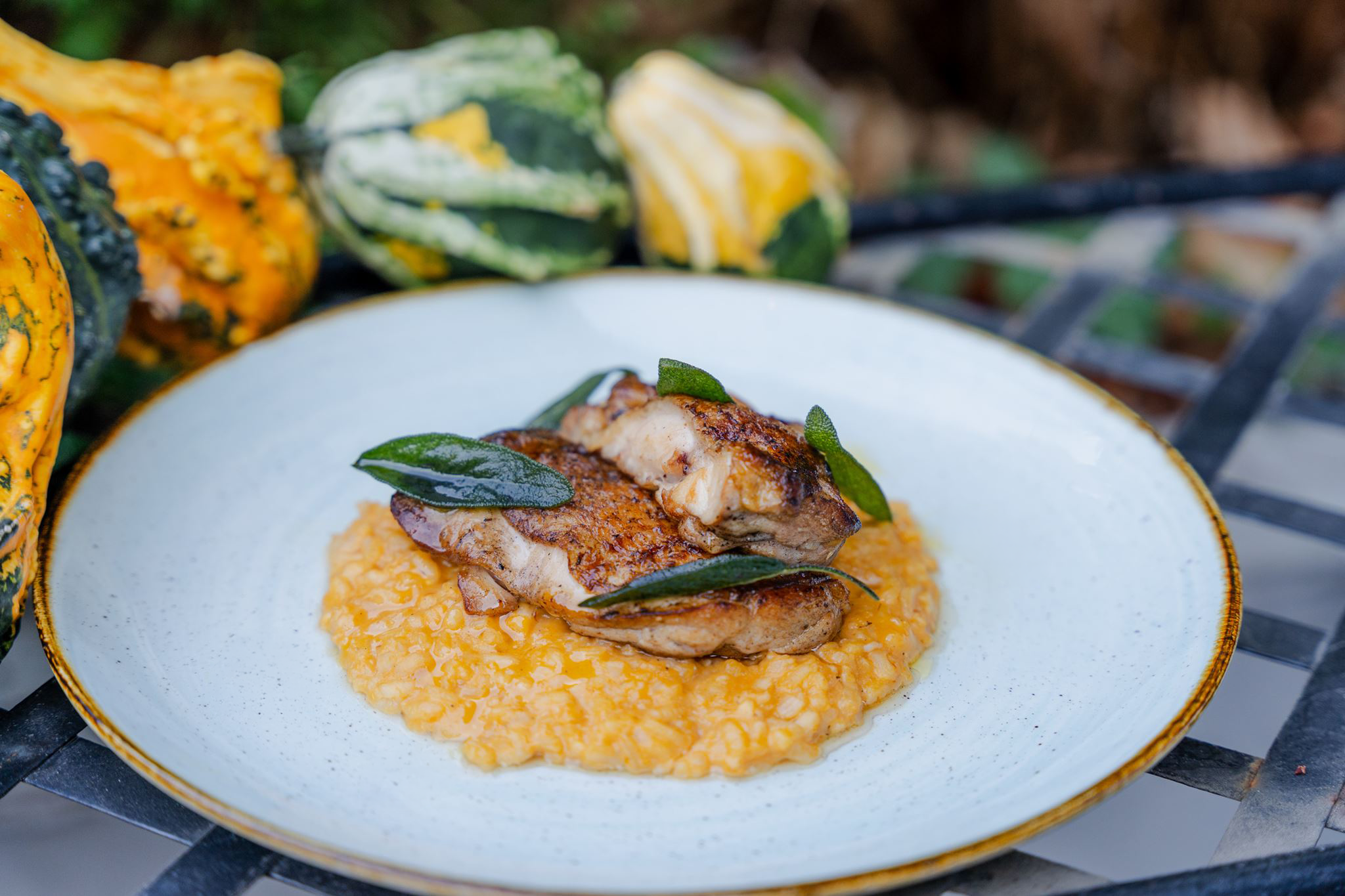 Baked chicken legs with seasonal squash risotto, served with crispy sage and brown butter.