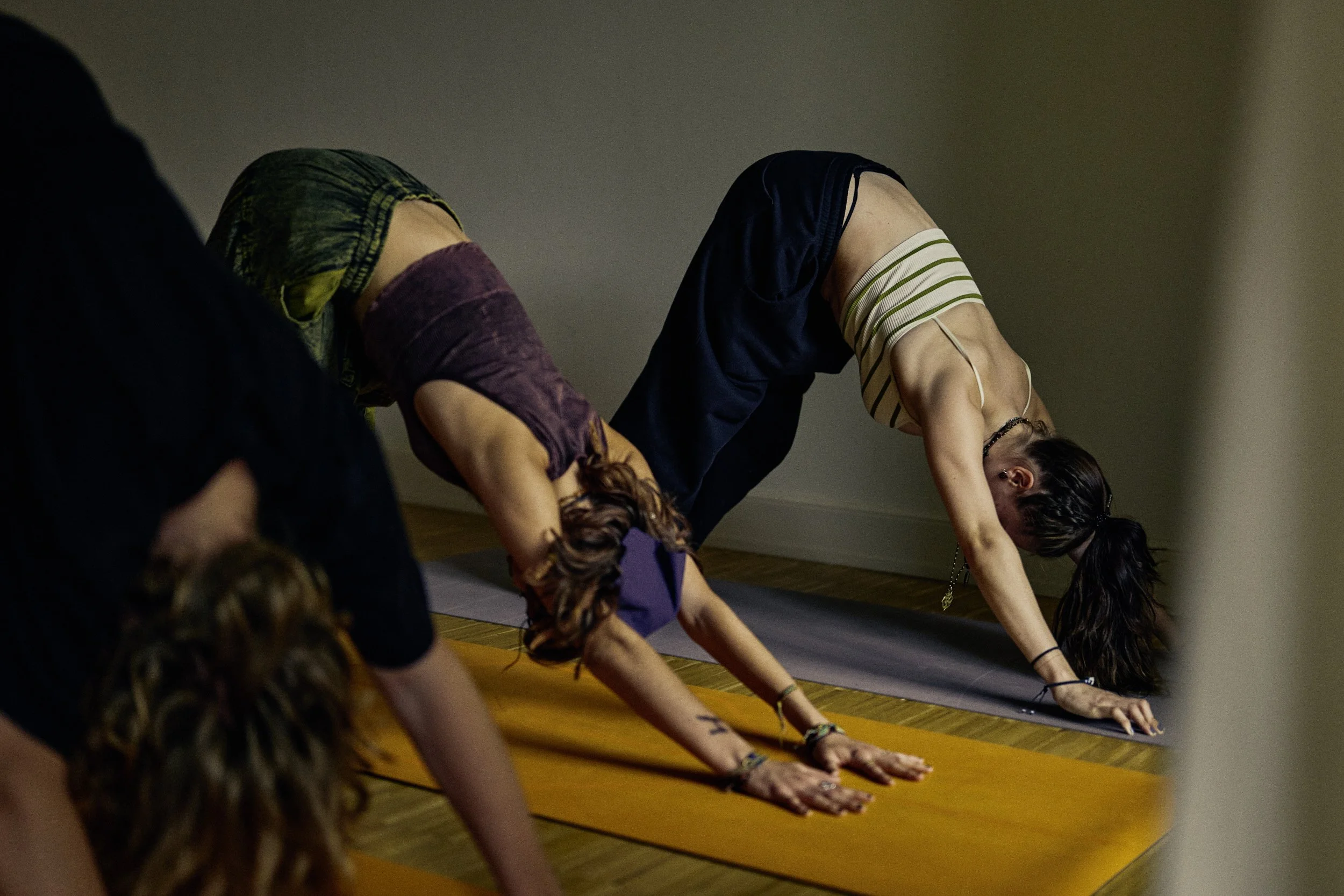 TPO_YOGA_092022_SL2S_ 941_WEB.jpg