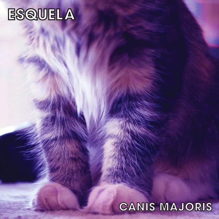 Esquela Canis Majoris.jpg