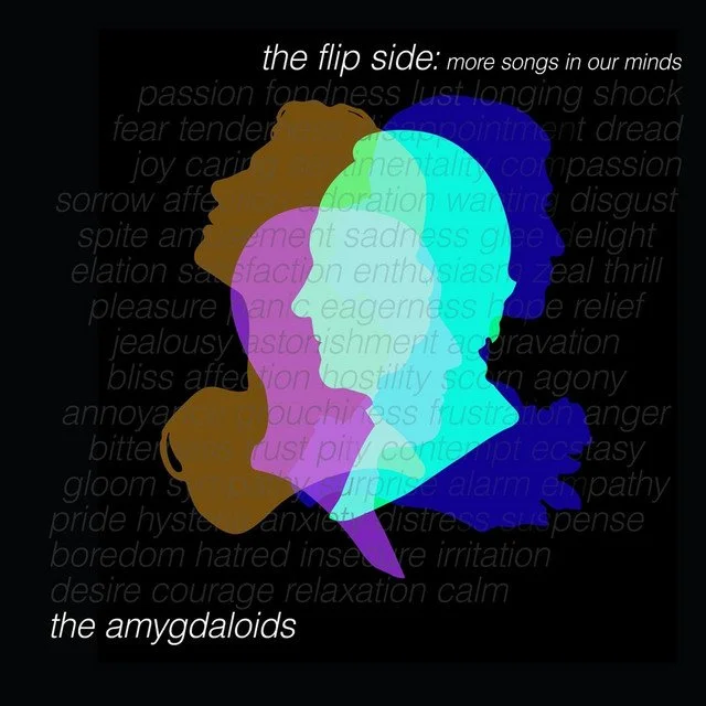 Amygdaloids the Flip Side.jpg