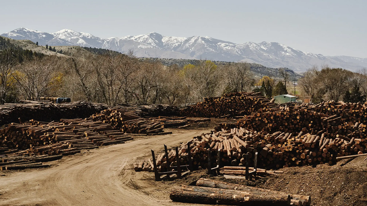 They Overcame Mutual Loathing and Saved a Town