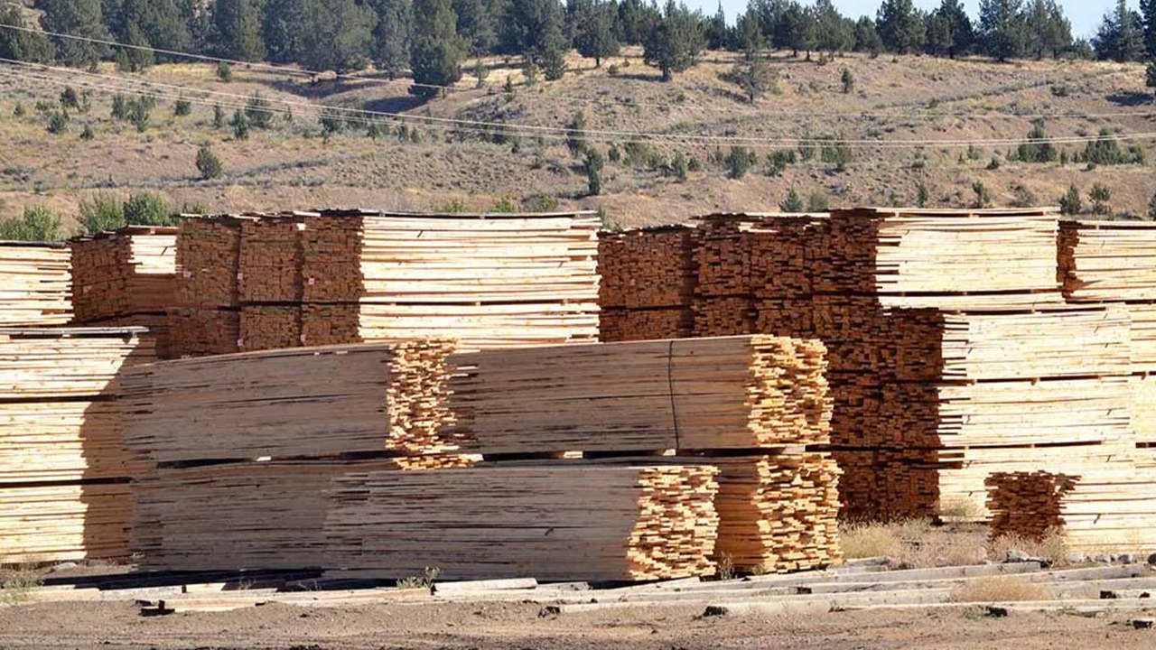 Iron Triangle floats plan to buy Malheur Lumber, seeks government aid to save mill