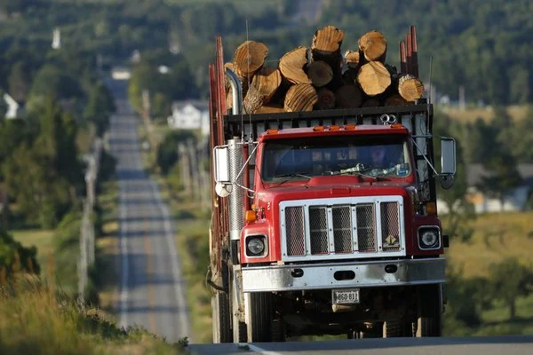 Economic realities cut into Trump timber plans