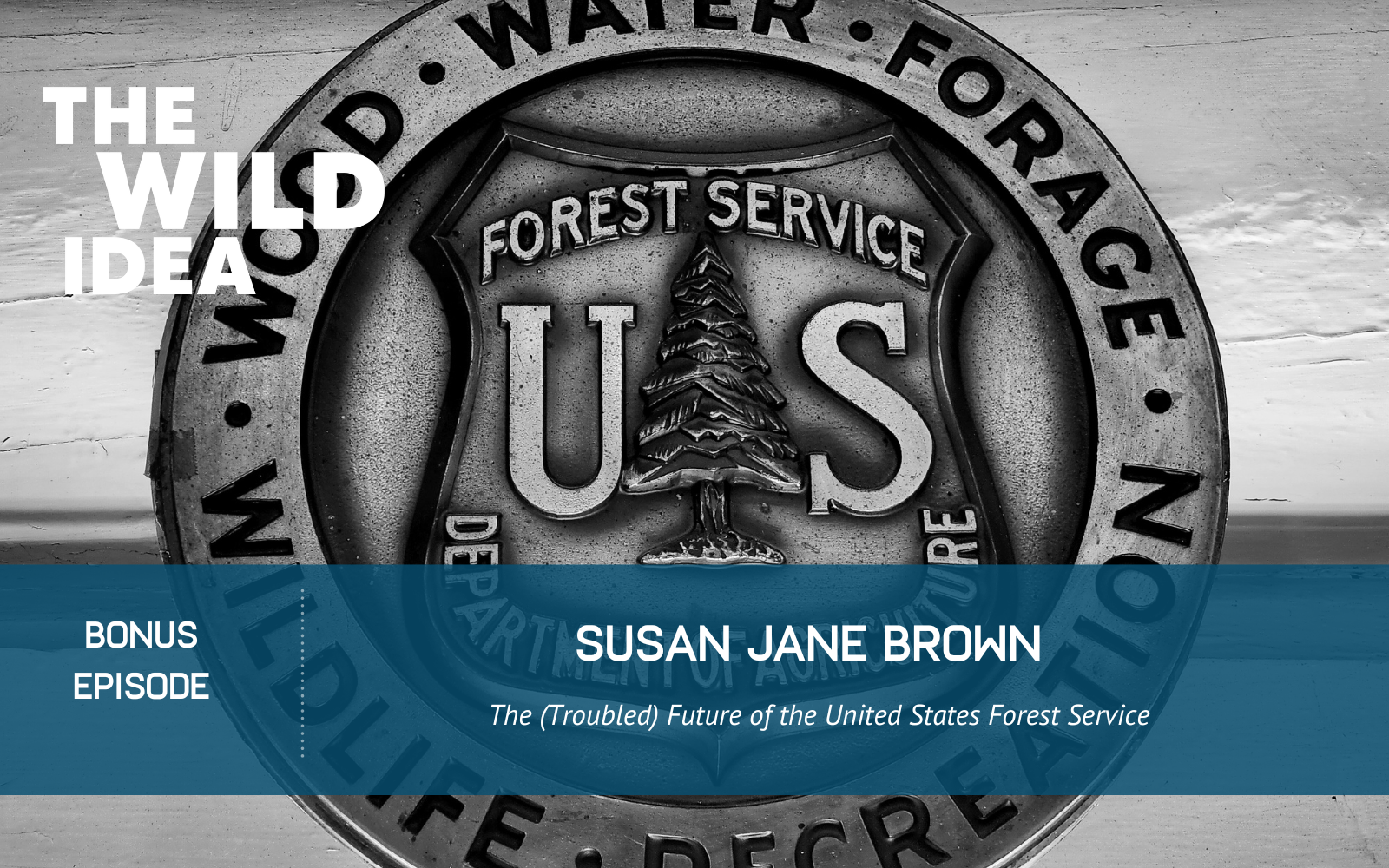 The (Troubled) Future of the United States Forest Service