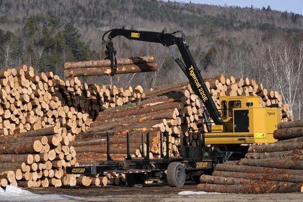 Forest Service skirts public input on emergency logging plan