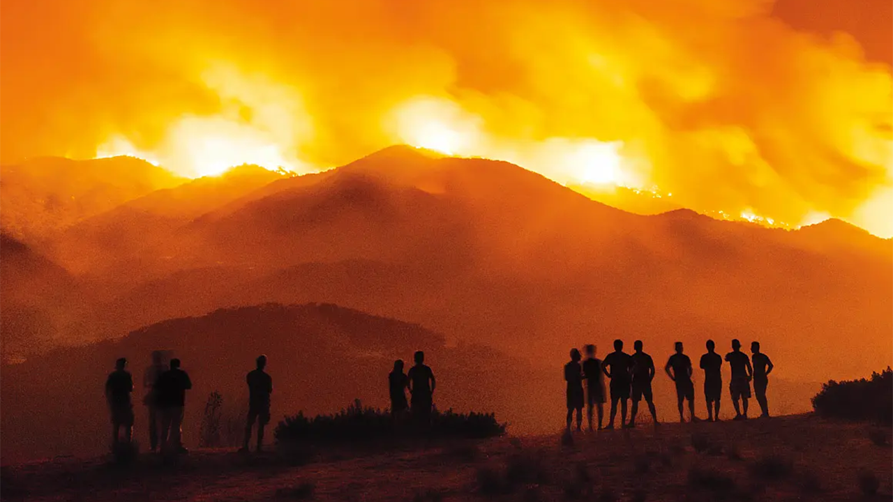 Fighting for Our Forests