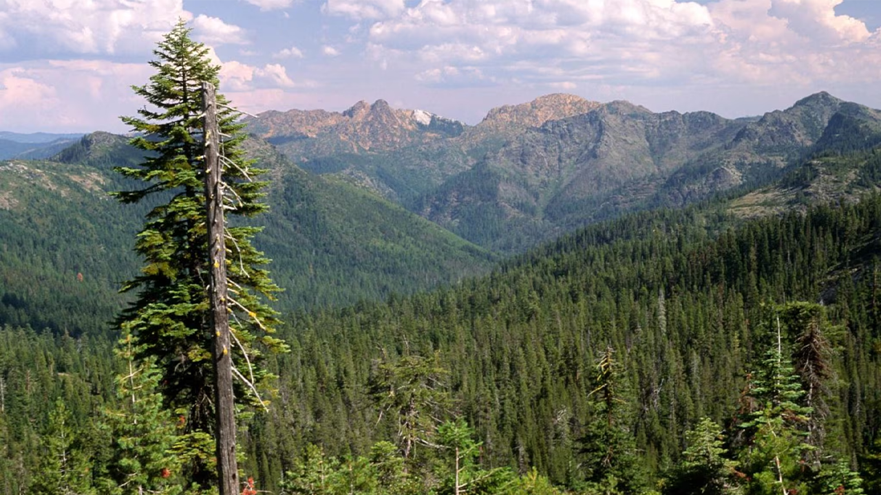 Oregonians could soon have less input on more than half the land in the state