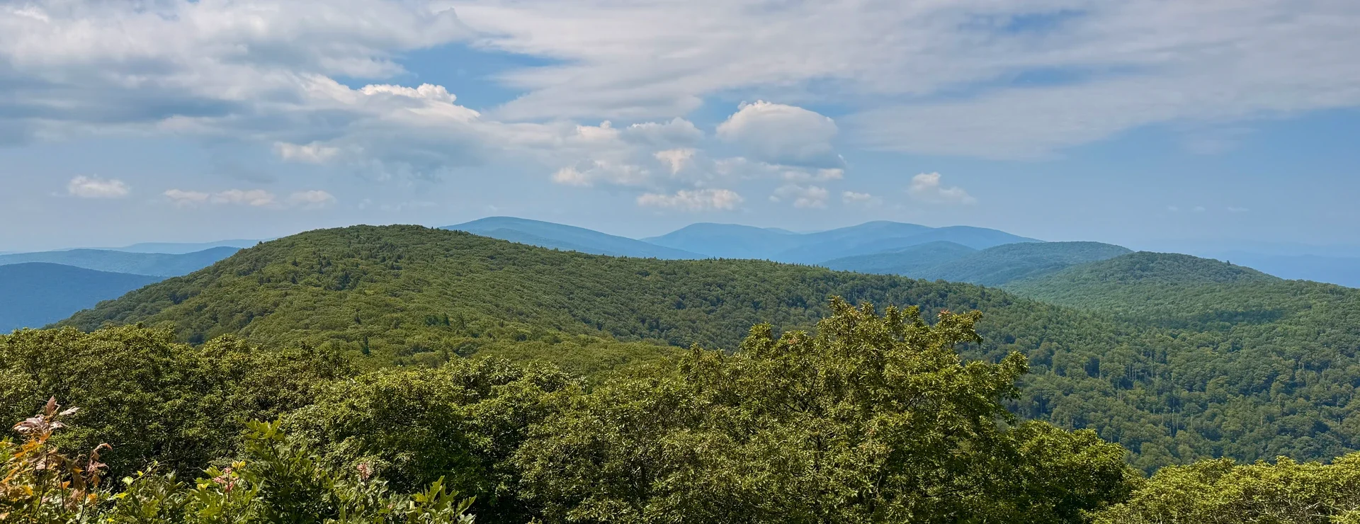 Trump Wants to Cut Down Untouched Forests. It Won’t Be Easy