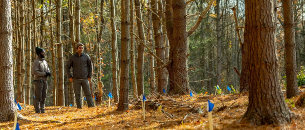 Yale Forest Forum: The Evolution of Multiple Use