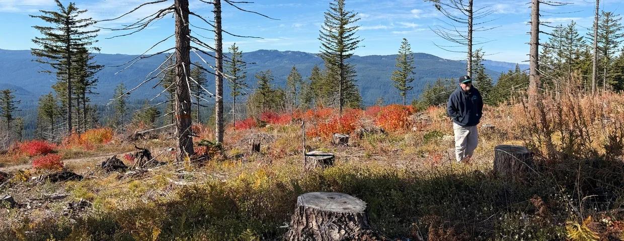 Ruling Shows Court’s Eagerness to Scrutinize Trump Logging Plans
