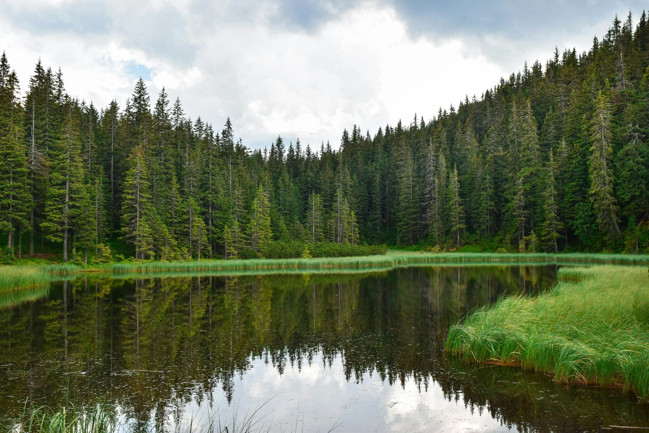 The BLM wants to ramp up logging. Oregonians aren’t so sure.