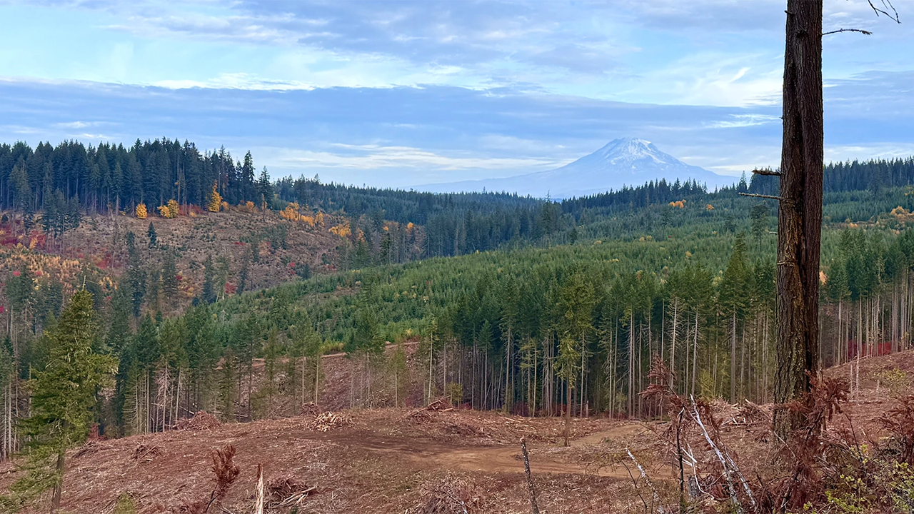 Green Group Sues to Invalidate Decades of Federal Land Decisions