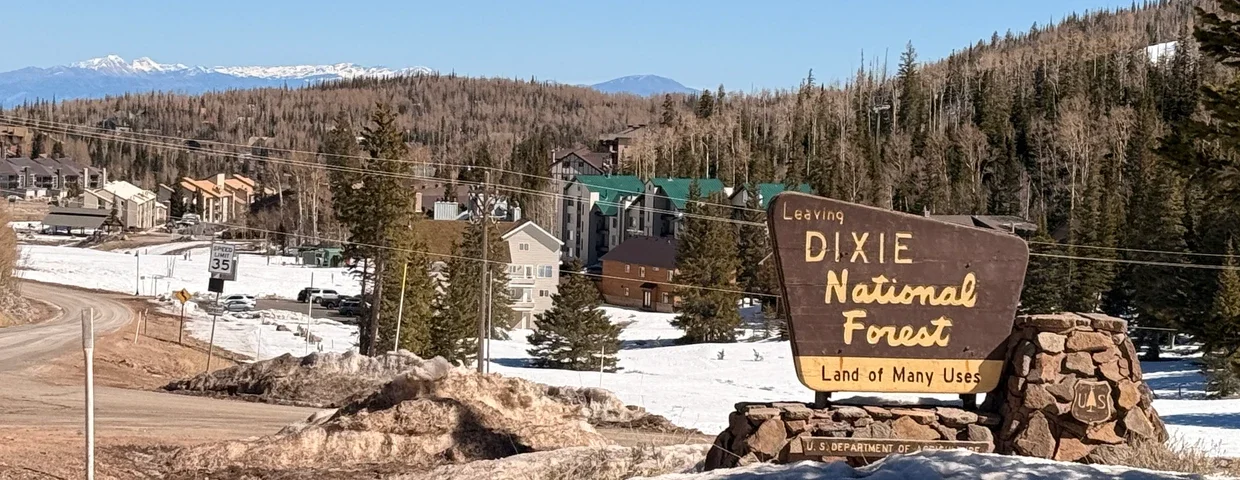 Forest Service Chief Eyes More State Control of Federal Land