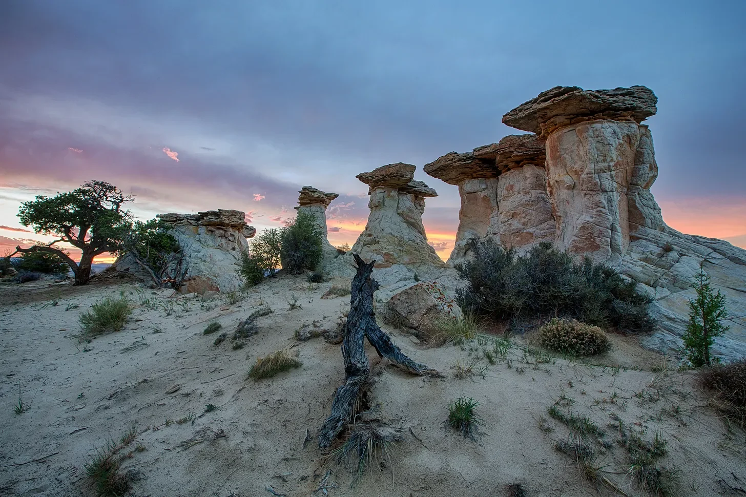 The land war is heating up: Trump slashes Bears Ears, Grand Staircase-Escalante
