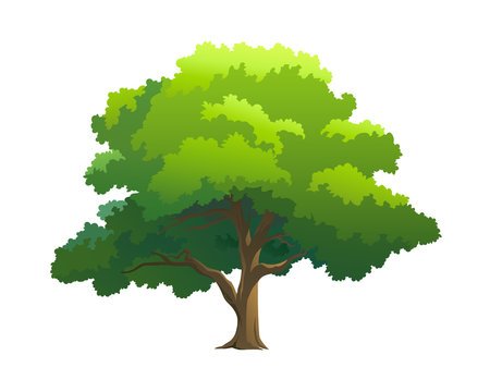 Donation 4