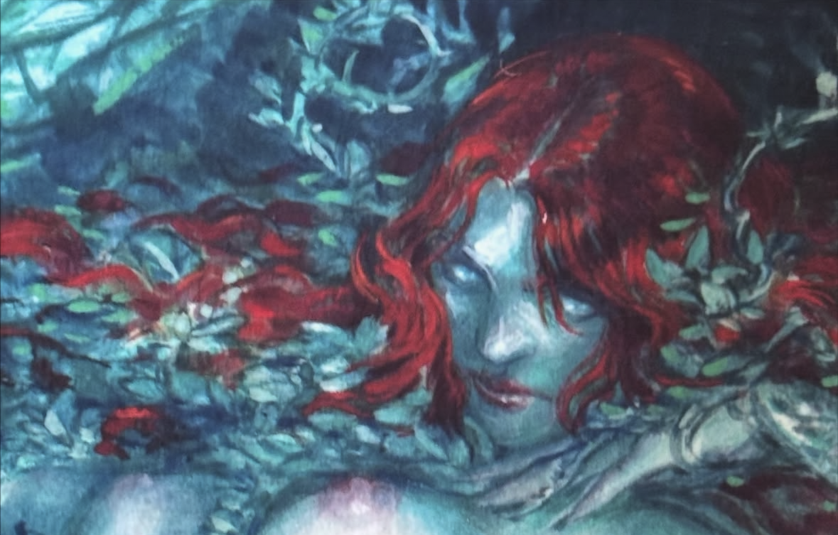 Image for Search for 'Poison Ivy'