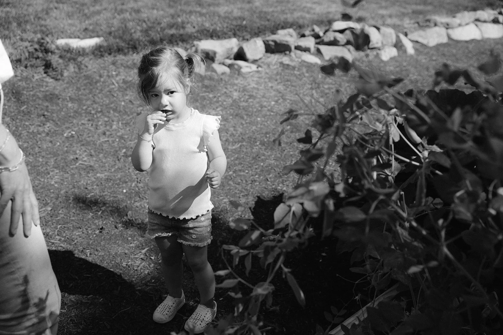 Oregon Lifestyle Family Photographer - Oregon City - 003Amanda Jae Photography.JPG