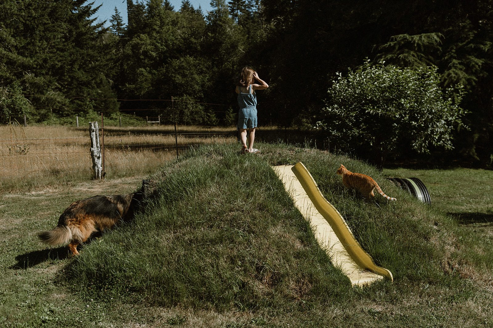 Eugene Family Photographer | A Relaxed Backyard Family Session Outside Eugene