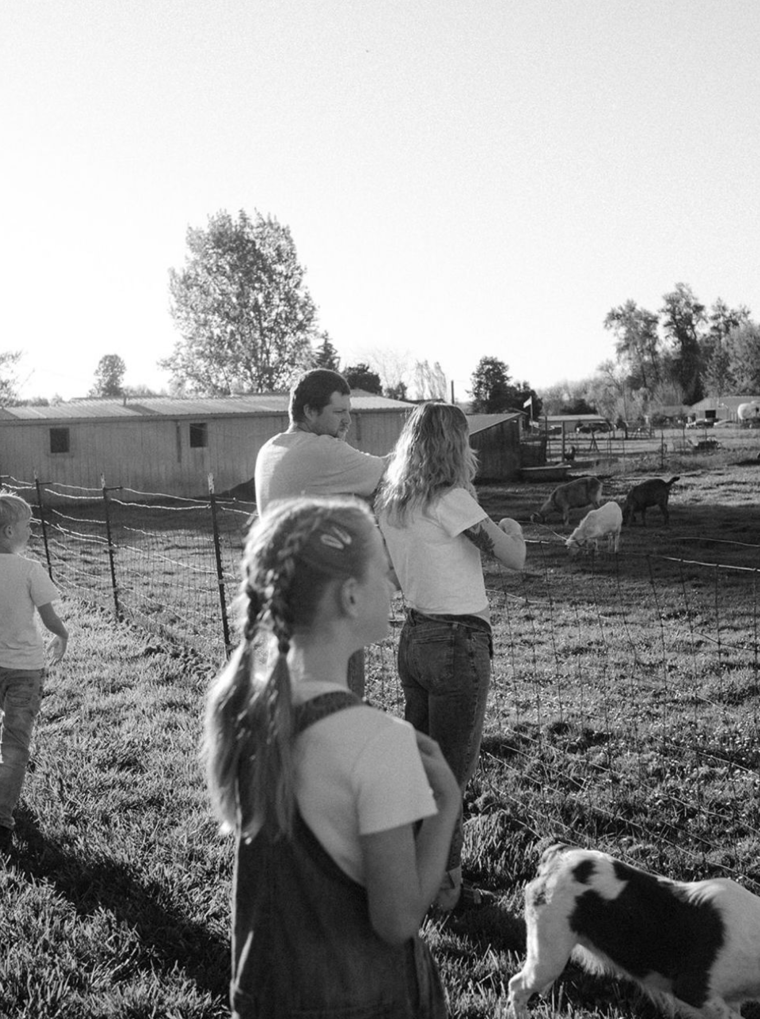 A black and white photo of people observing goats in a fenced outdoor farm area during daytime.