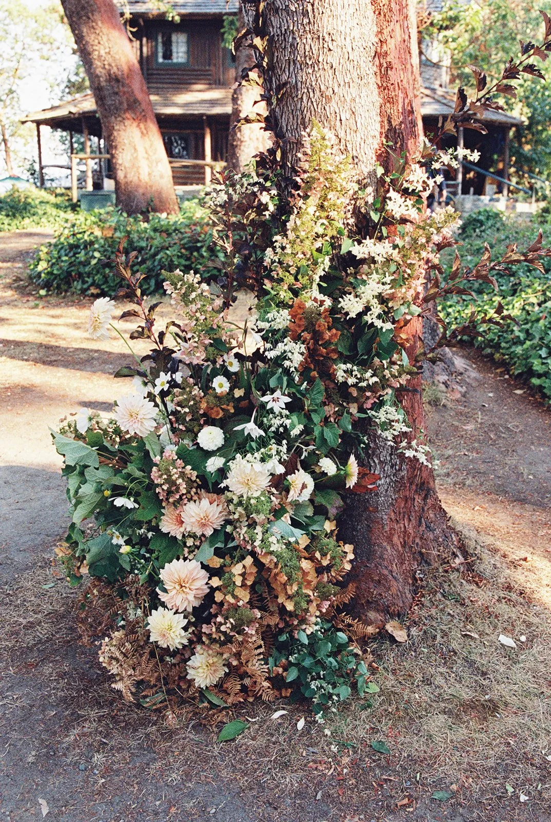 Ben + Cat - Film 71_websize.jpg