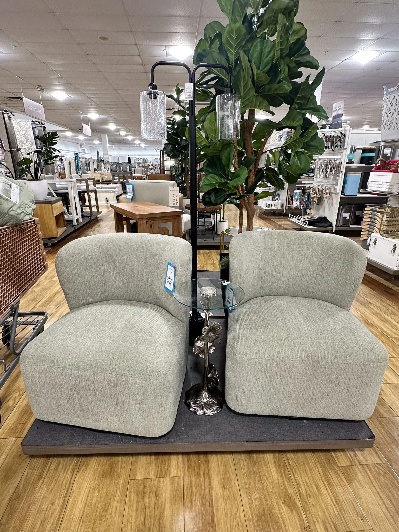 Modern college dorm room setup with comfortable seating and plants for stylish dorm room decorating.