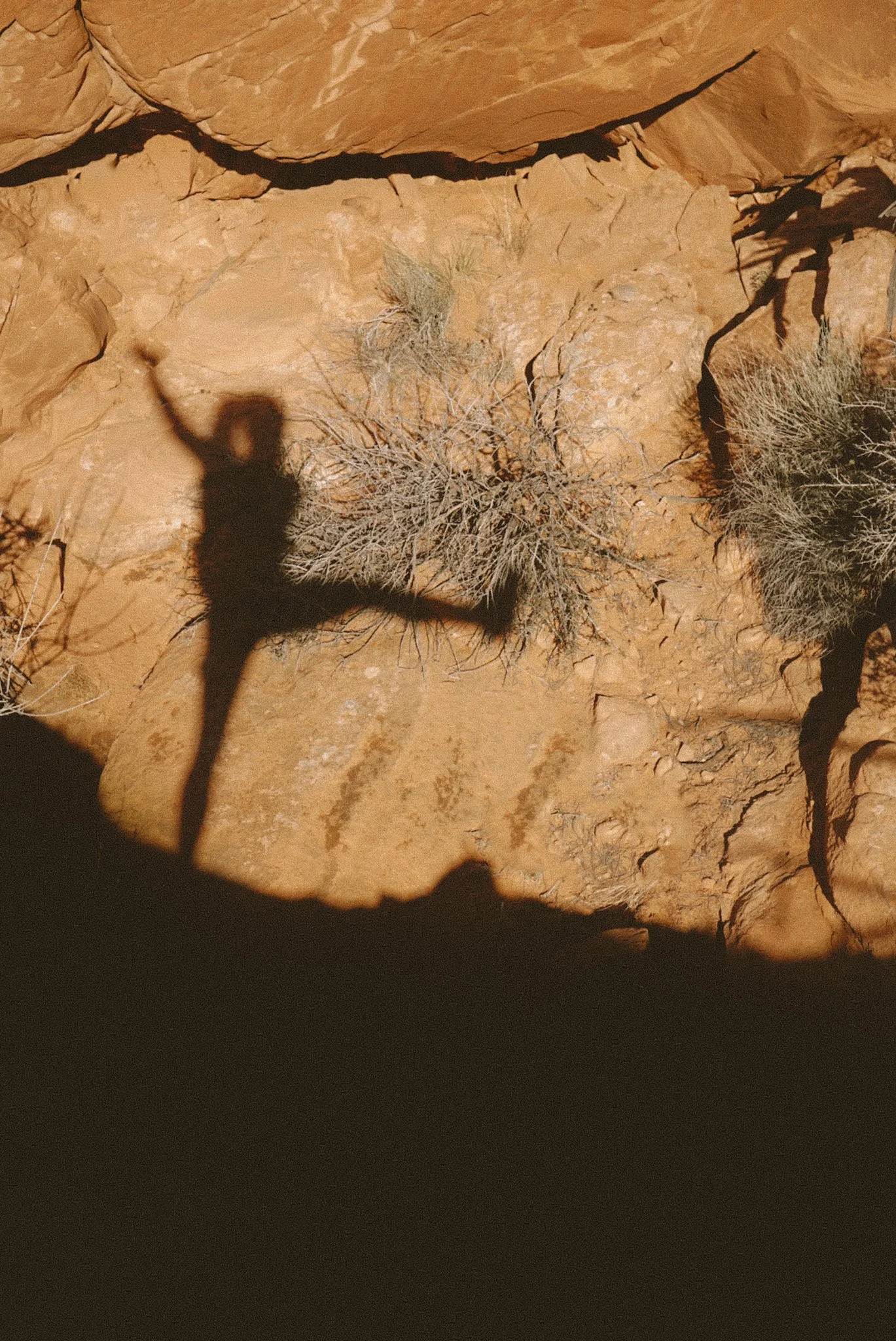 Shadow of a person taking a photo on a rocky desert landscape with dry bushes.
