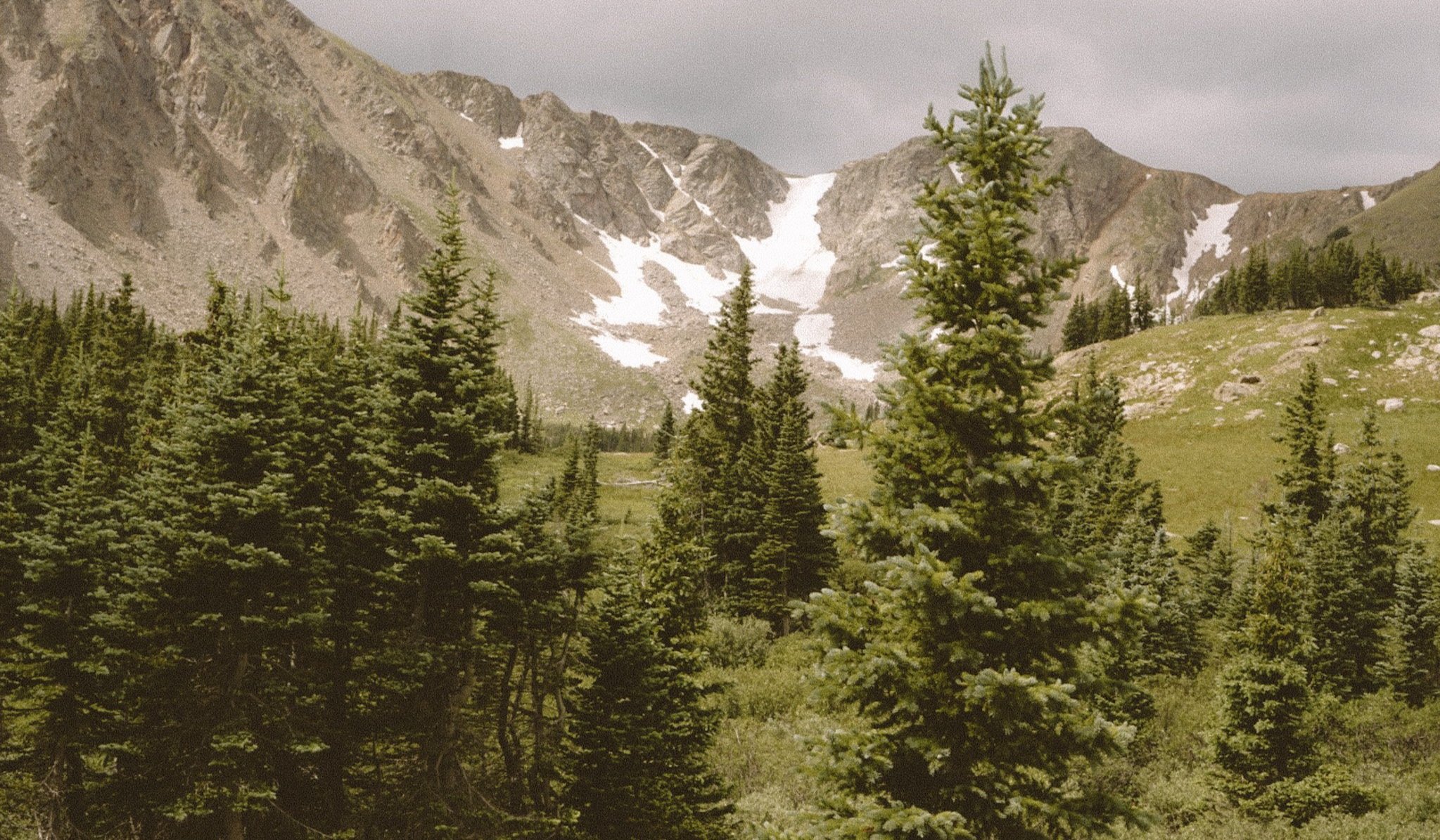 Mountain range with patches of snow, forest of evergreen trees in the foreground, cloudy sky.