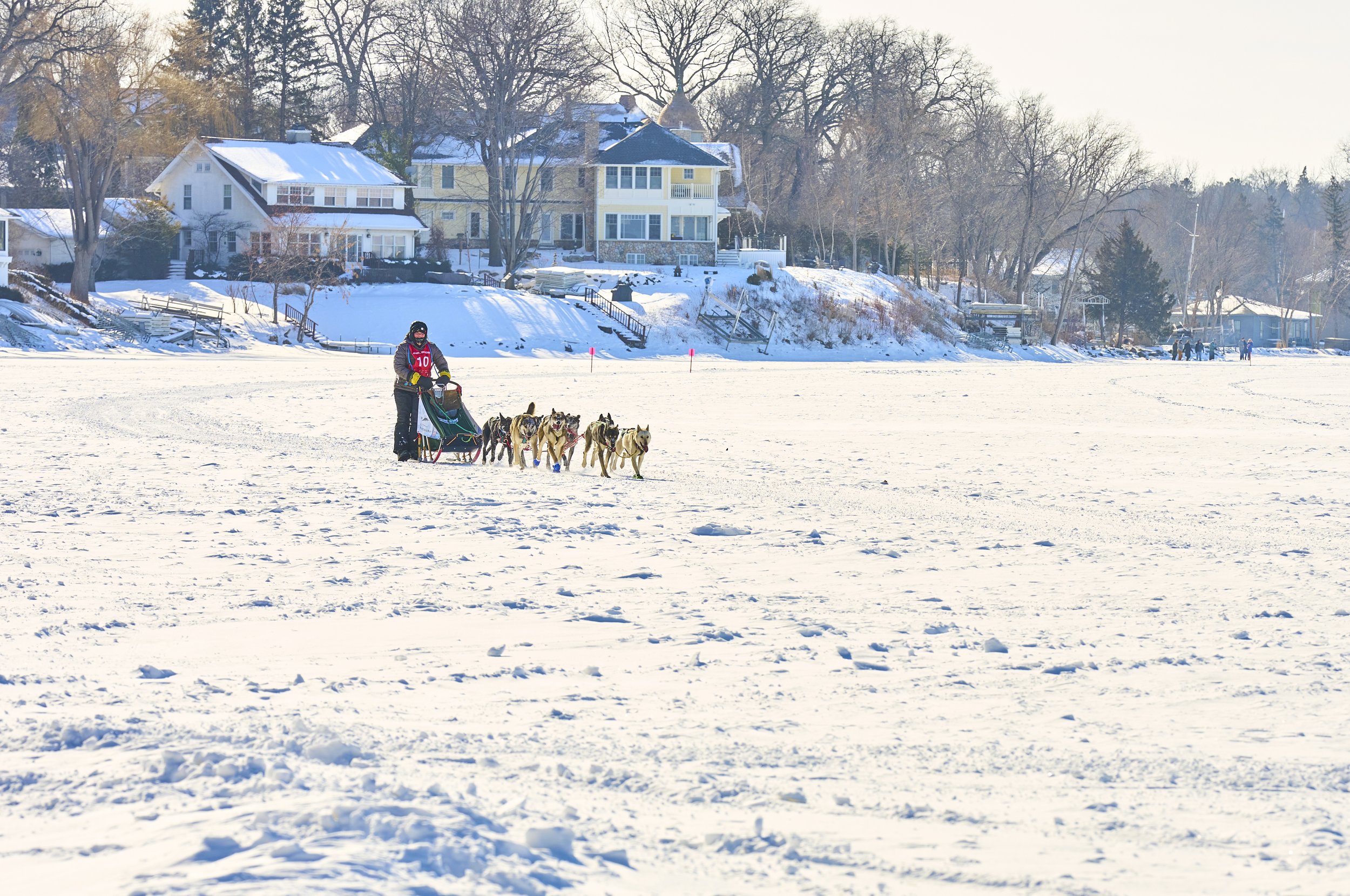 576  Klondike Dog Derby 2-5-22  Photos - RobertEvansImagery.com  IG @RobertEvansImagery + @TakeActionSport.jpg