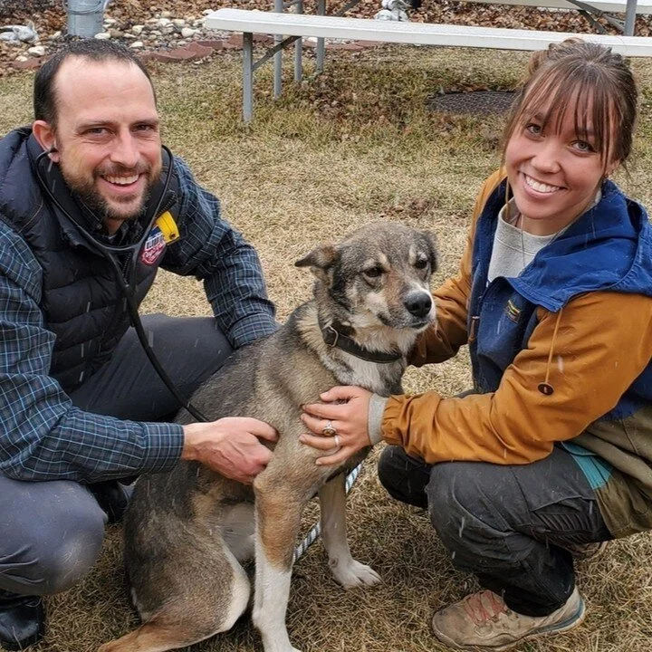 Dusty Klaven — Klondike Dog Derby