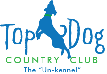 topdog-logo.png