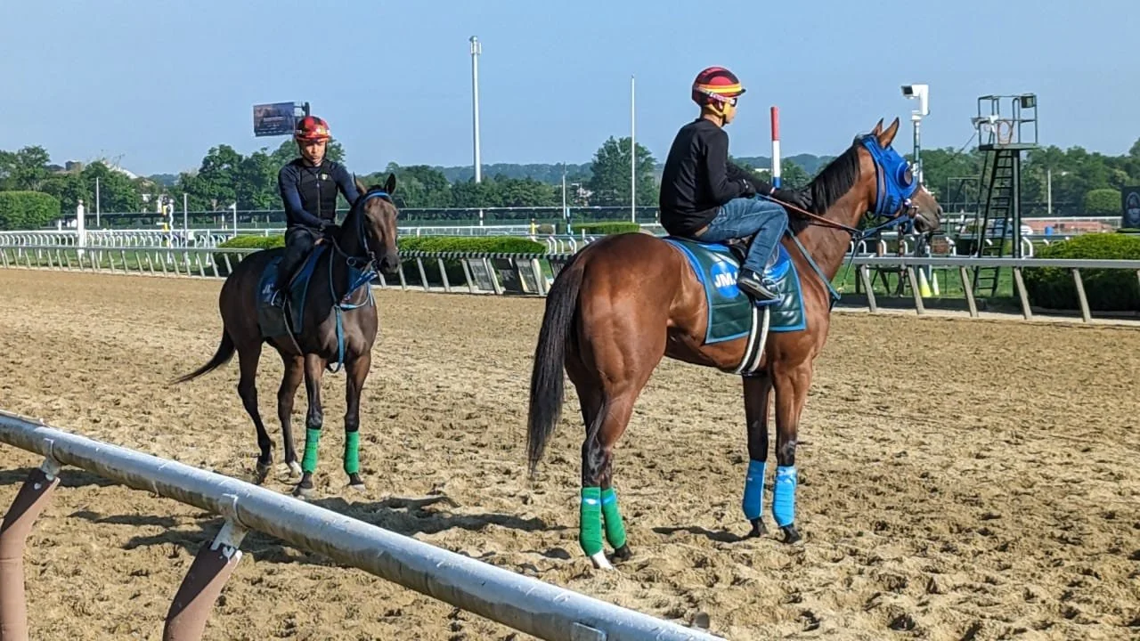 Gallery — RT Racing Stable