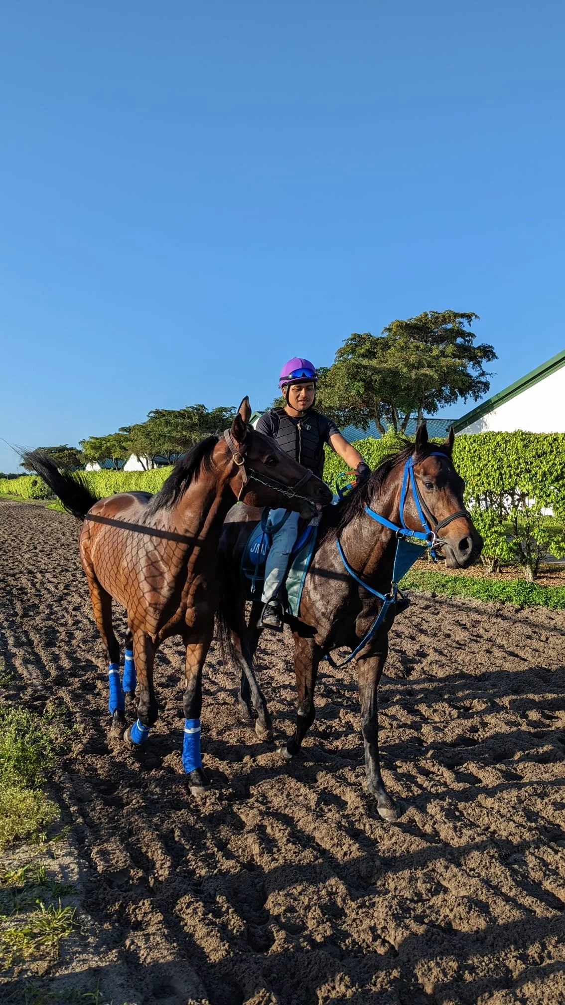 Gallery — RT Racing Stable