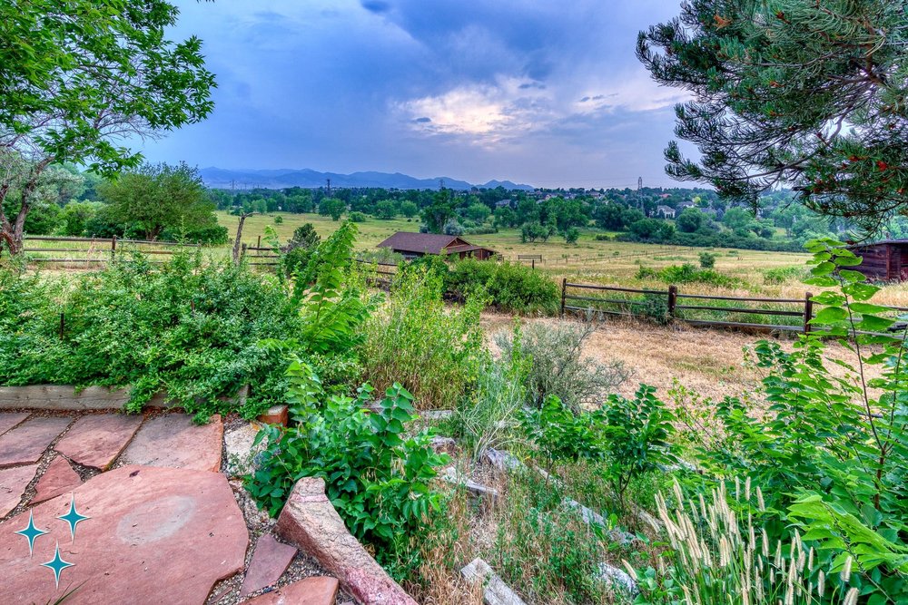 14155-W-54th-Avenue-Arvada-Colorado-Mid-Mod-Home-For-Sale-Adrian-Kinney-l-2.jpg