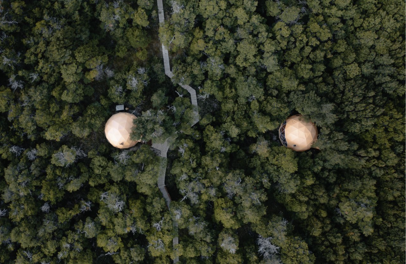 Captura de Pantalla 2025-12-12 a la(s) 12.49.35.png