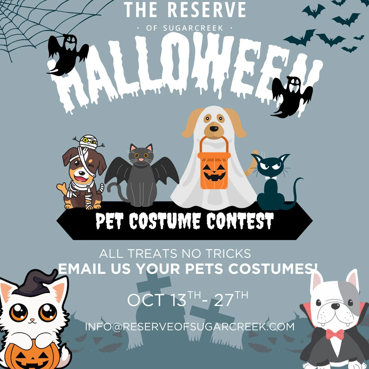 ππΎ Pet Costume Contest Alert! πΎπThink your furry friend has the cutest, spookiest, or funniest costume around? We want to see it! π»π¦΄πΈ Email us a photo of your pet in their BEST costume between October 13–27 for a chance to win bragging r