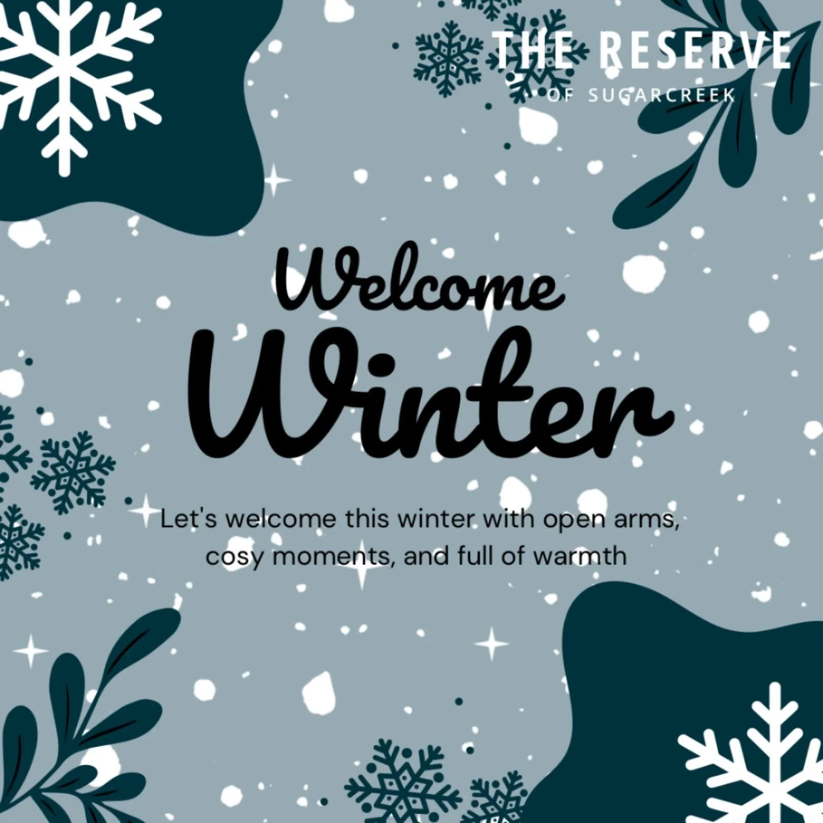 Happy First Day of Winter! ❄️ Let the cozy nights and snowy sights begin. ✨