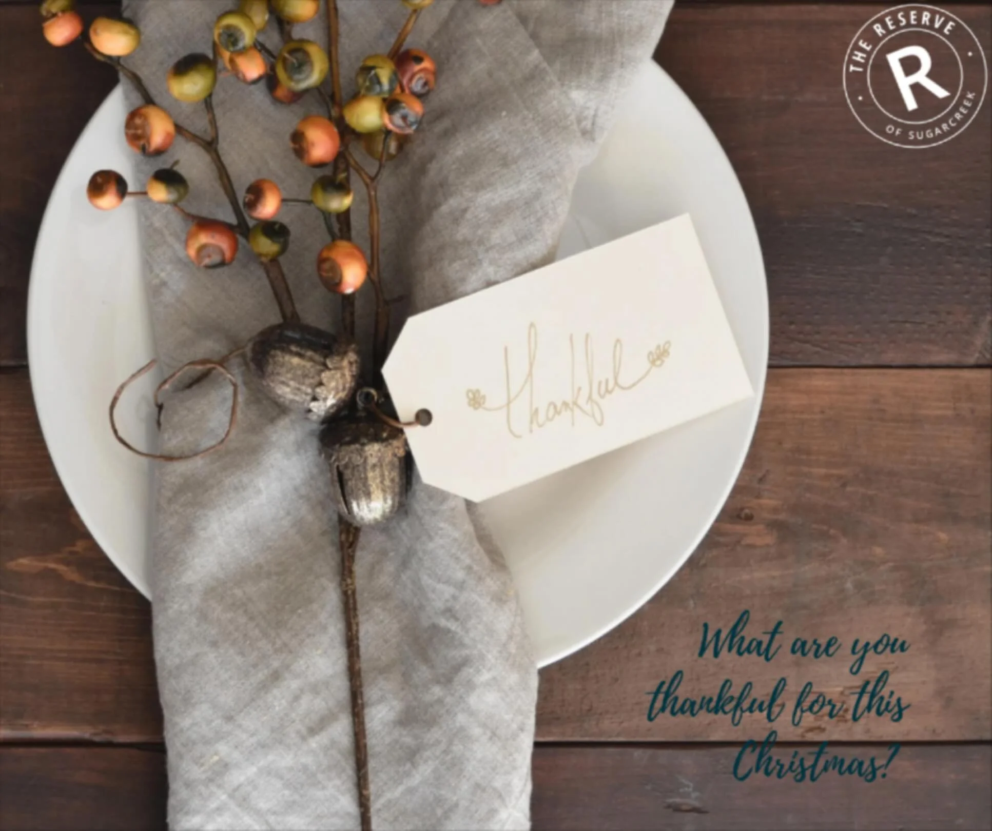 Christmas is here, and so is the spirit of thankfulness. 🎄✨ What are you grateful for this season?