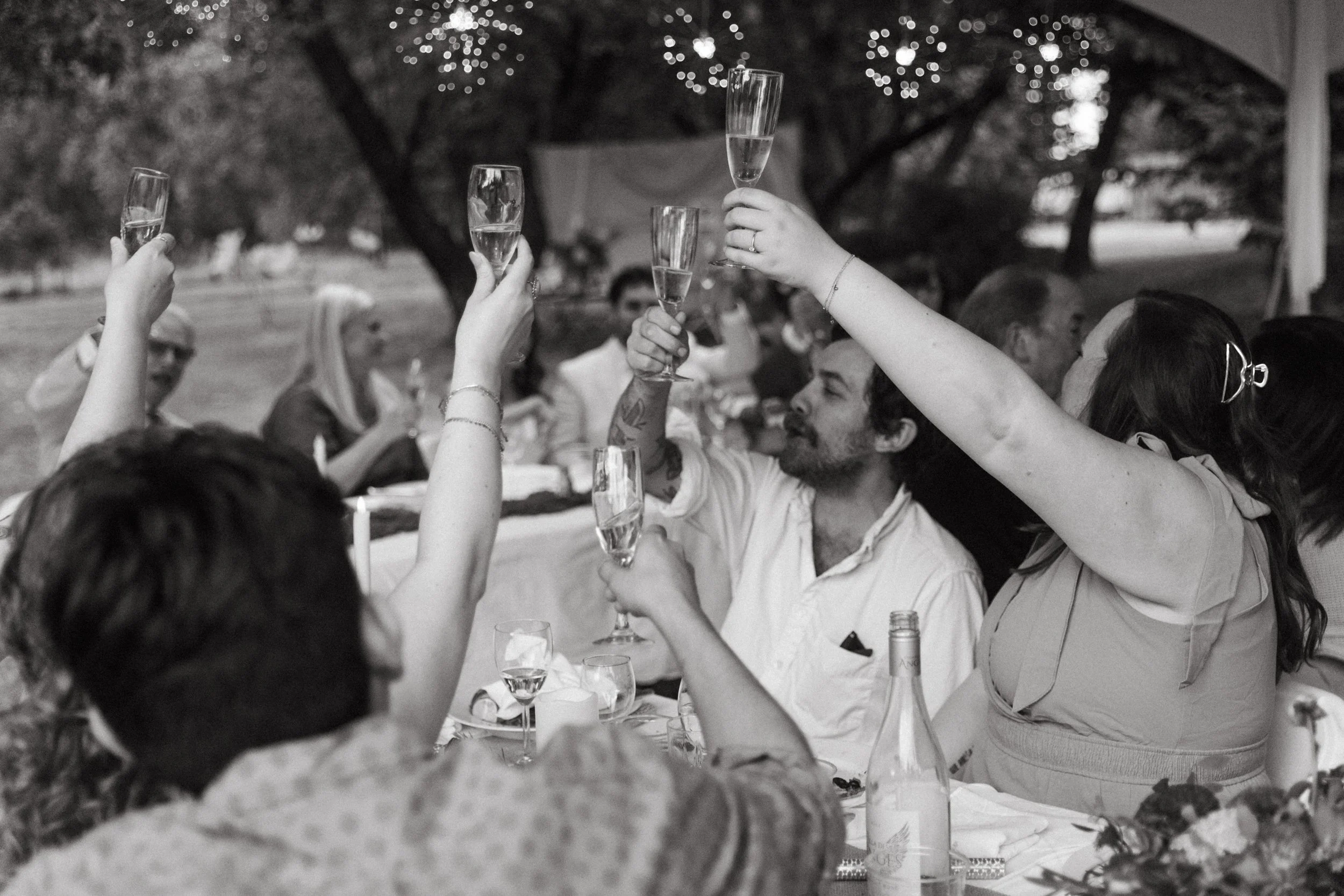 People celebrating with toasts at an outdoor gathering, holding champagne flutes and raising glasses in a toast.