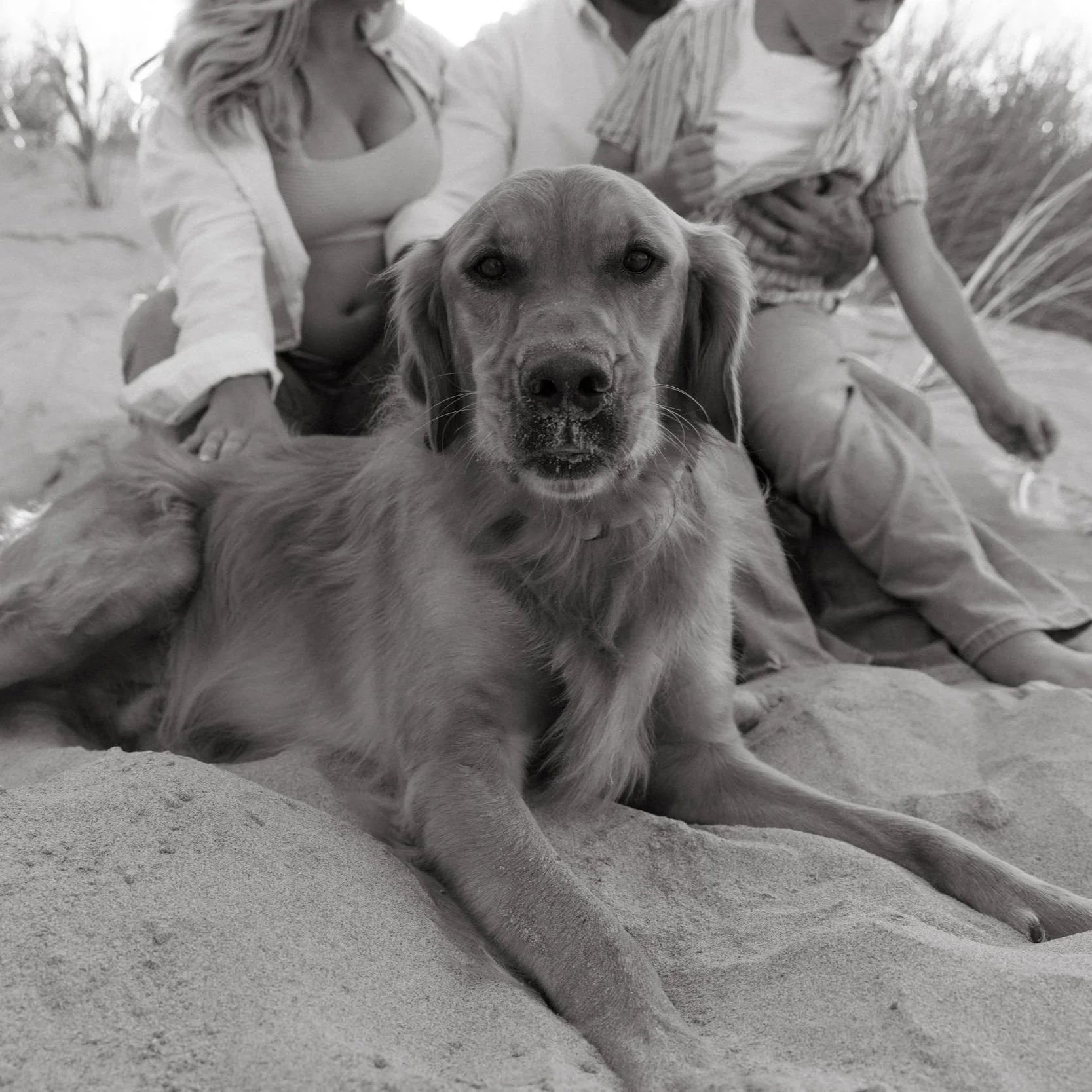 A close-up black-and-white photo of a dog lying on the sand with two people in the background, one with long hair and the other with shorter hair, both sitting on the sand.