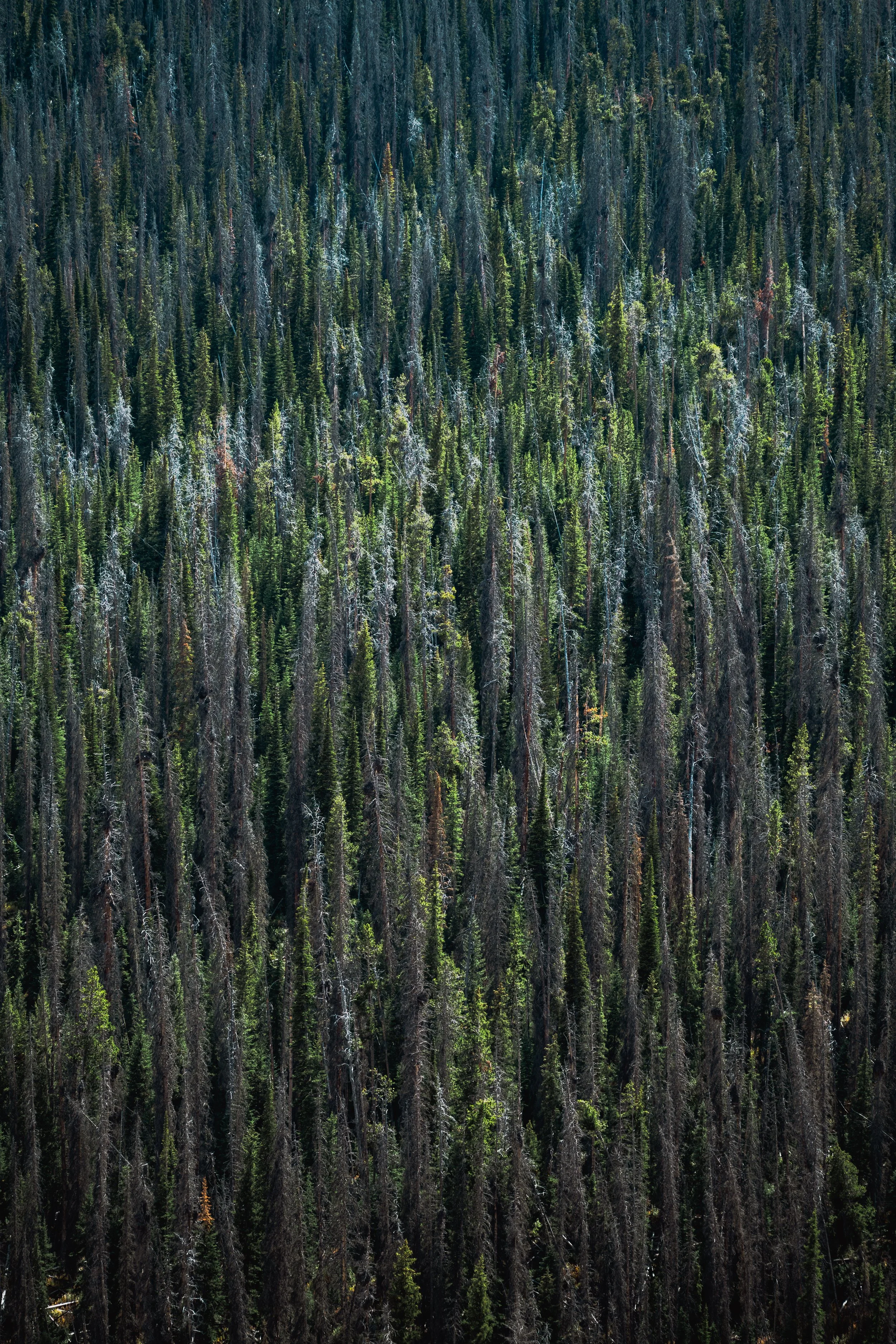 DSC_1120.jpg