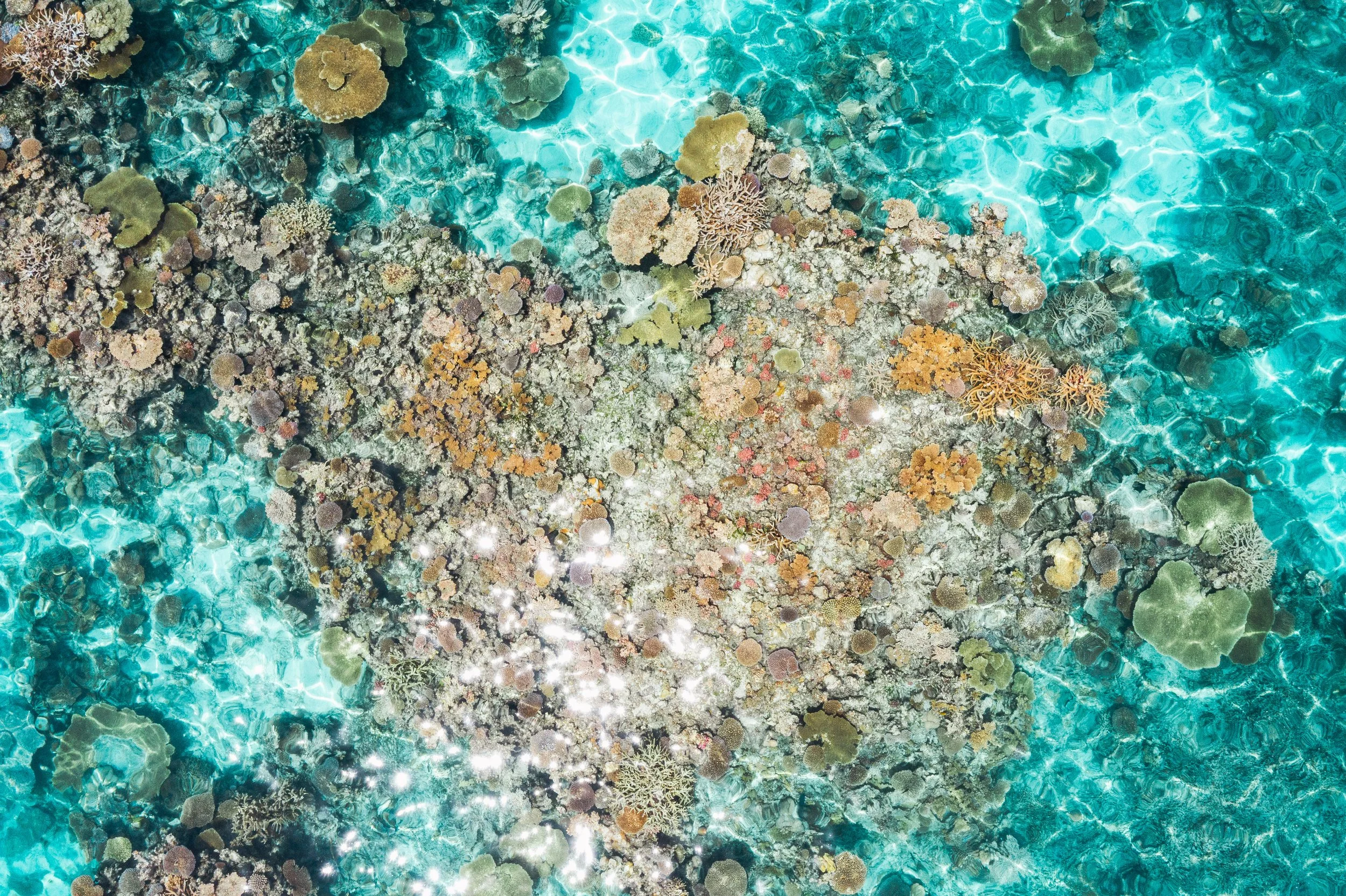 DJI_0251.jpg