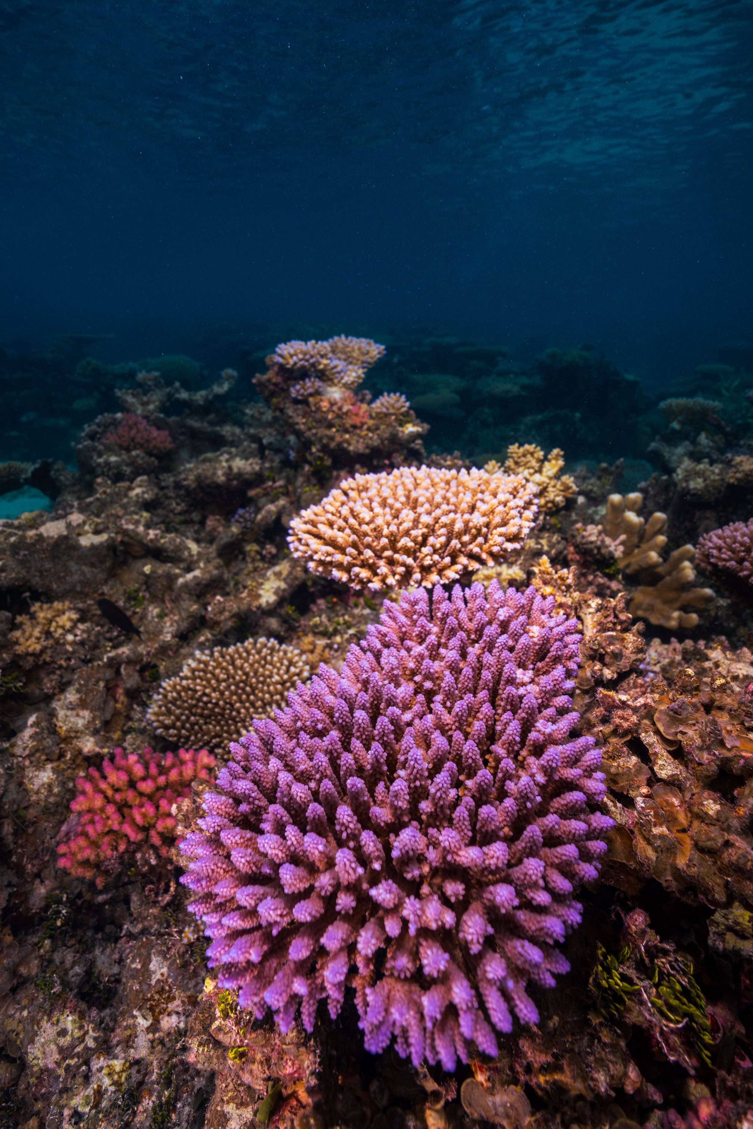DSC_9737.jpg