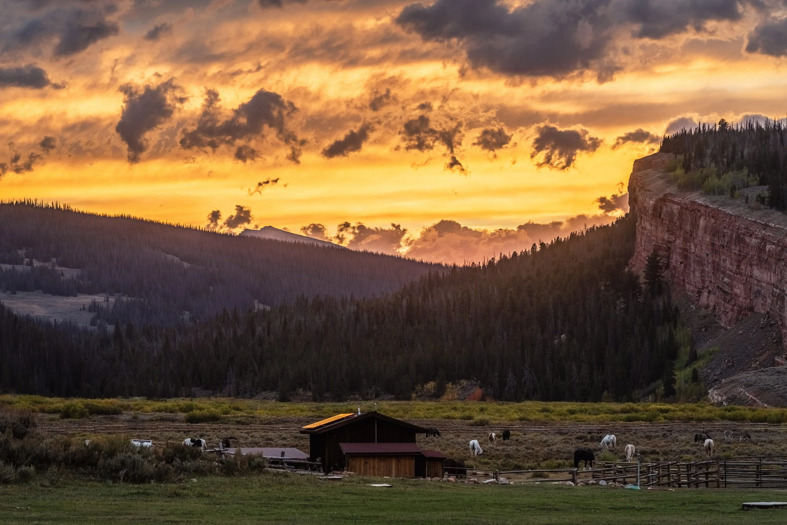 DSC_5059-HDR.jpg